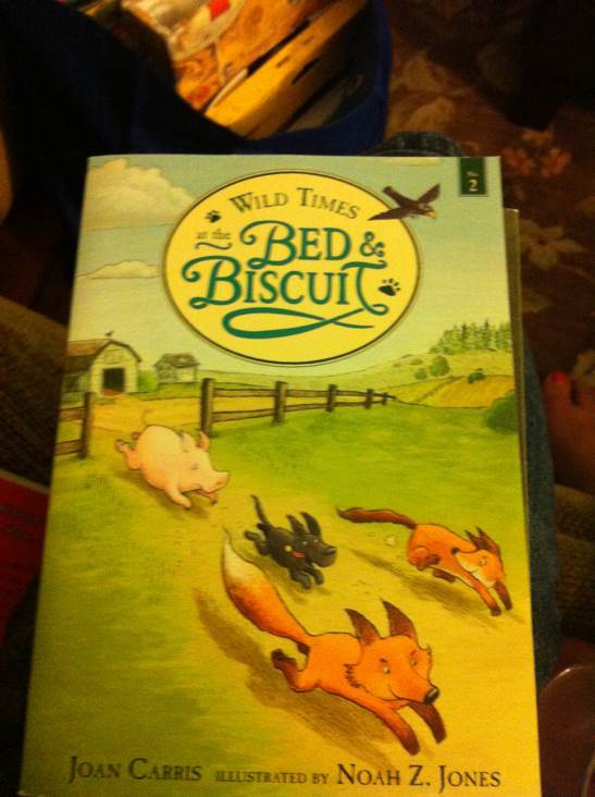 Wild Times At The Bed & Biscuit