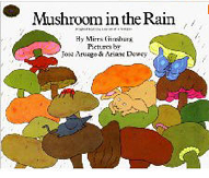 Mushroom In The Rain