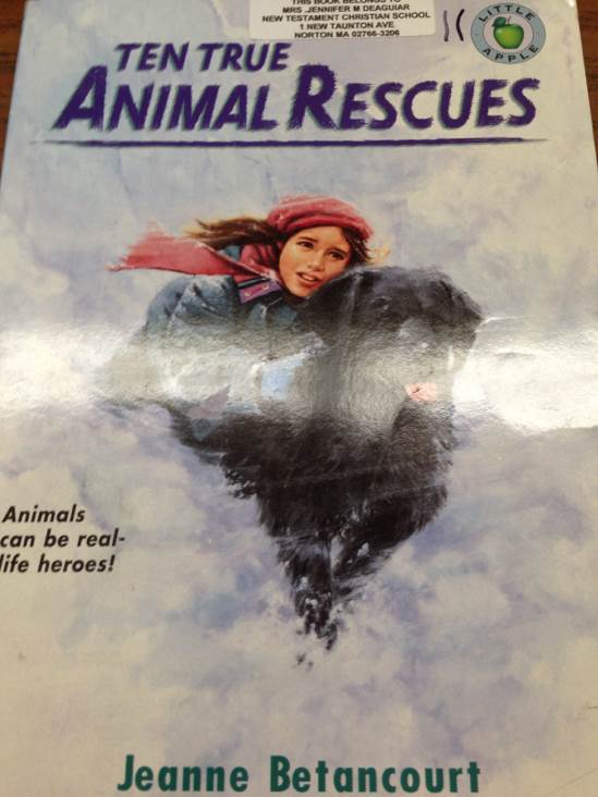 Ten True Animal Rescues - Rodman Philbrick (Scholastic Paperbacks) book collectible [Barcode 9780590681179] - Main Image 1