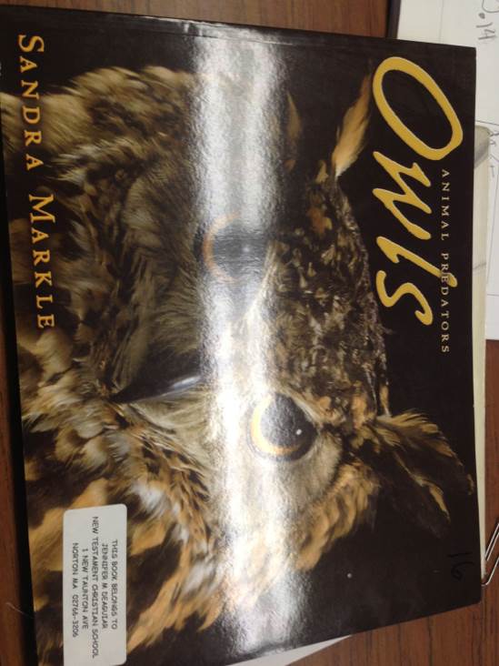Animal Predators Owls - Dandra Markle (Scholastic Book Fairs Edition - Paperback) book collectible [Barcode 9781575058160] - Main Image 1