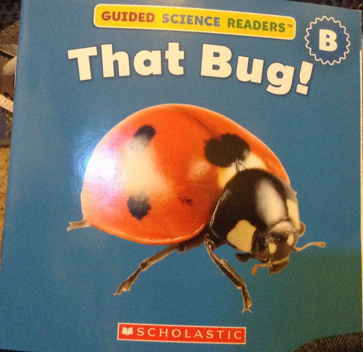 That Bug