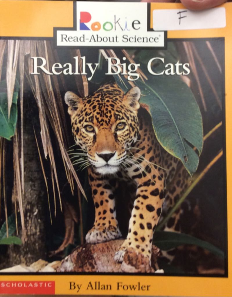 Really Big Cats