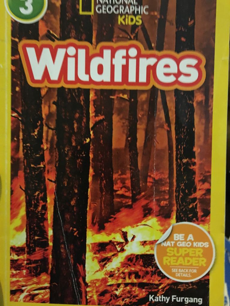 Wildfires