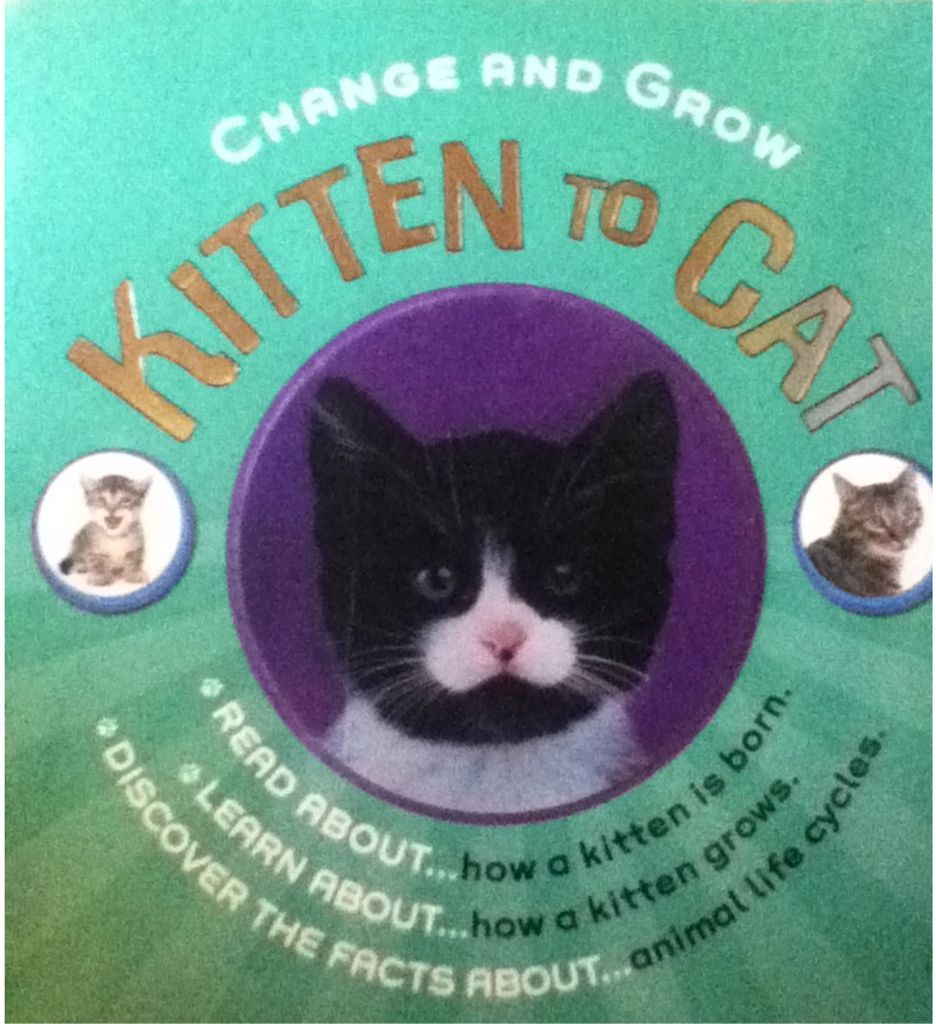 Kitten to Cat