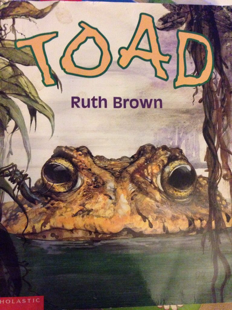 Toad
