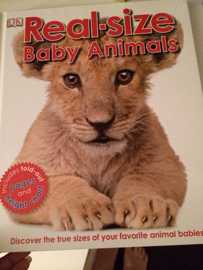Real-Size Baby Animals