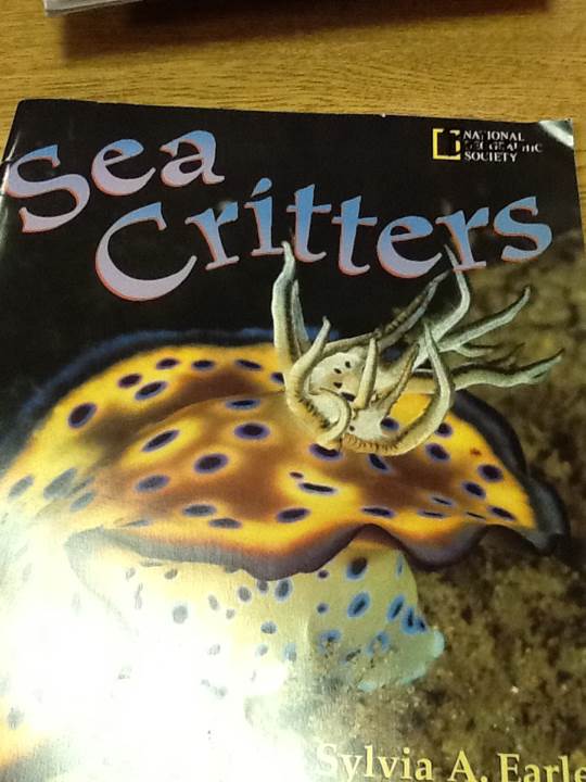 Sea Critters