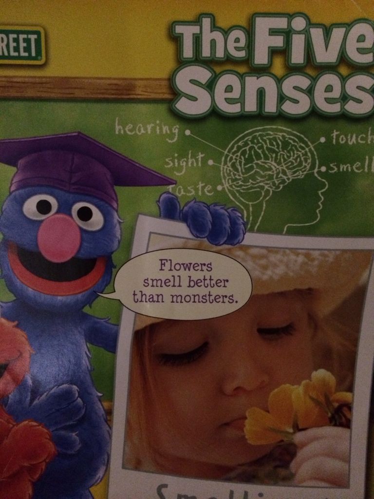 My First Book about the Five Senses