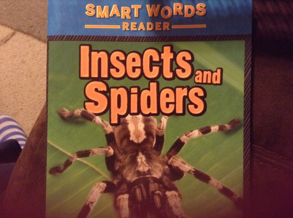 Insects and Spiders - Matthew Robertson (Scholastic - Paperback) book collectible [Barcode 9780545467032] - Main Image 1