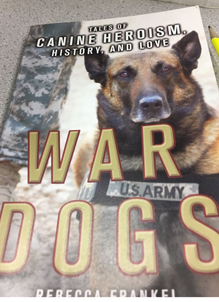 War Dogs