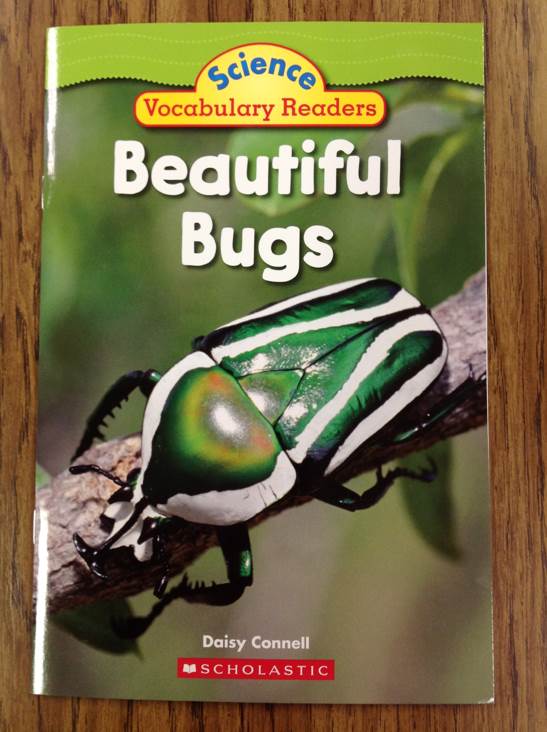Beautiful Bugs - Daisy Connell (Scholastic - Paperback) book collectible [Barcode 9780545007405] - Main Image 1
