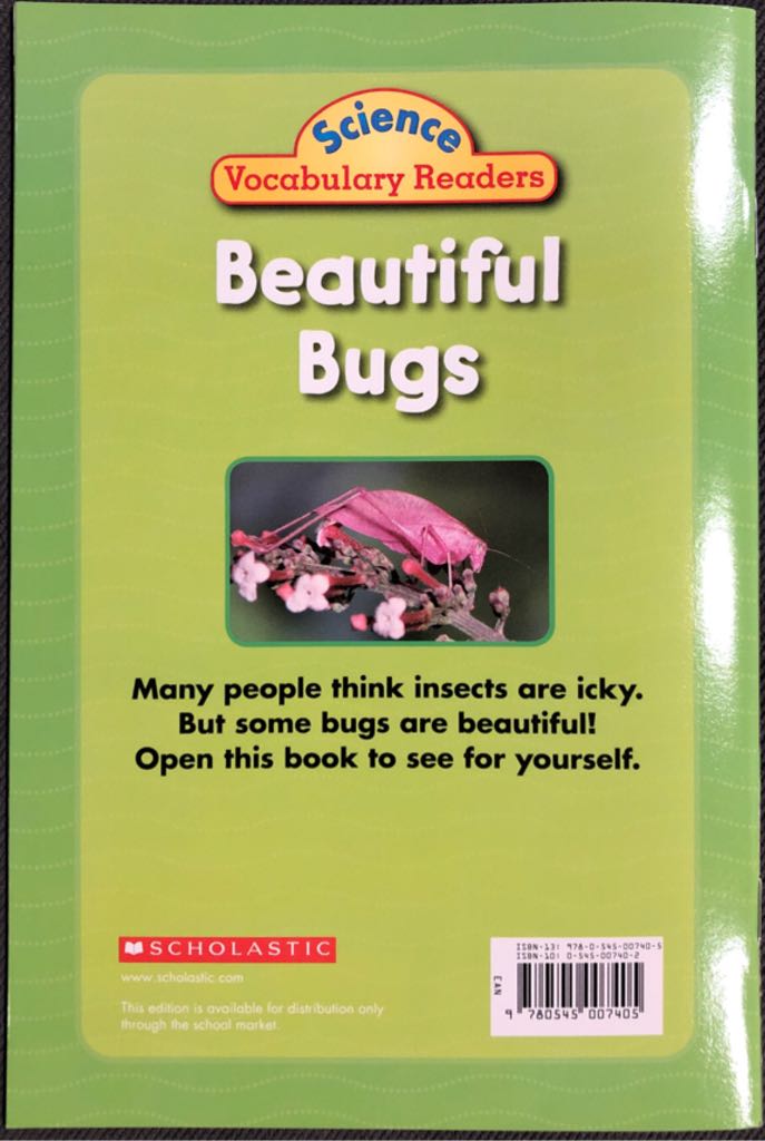 Beautiful Bugs - Daisy Connell (Scholastic - Paperback) book collectible [Barcode 9780545007405] - Main Image 2