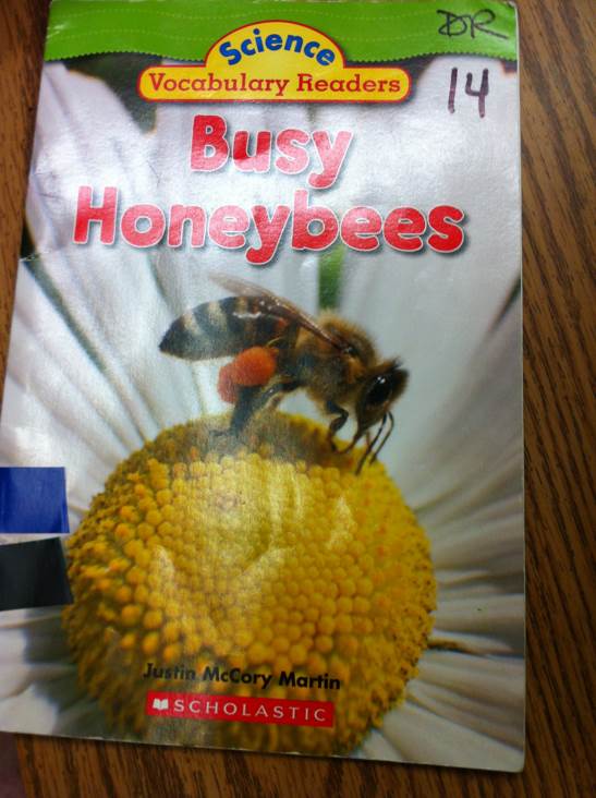 Busy Honeybees