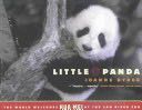 Little Panda