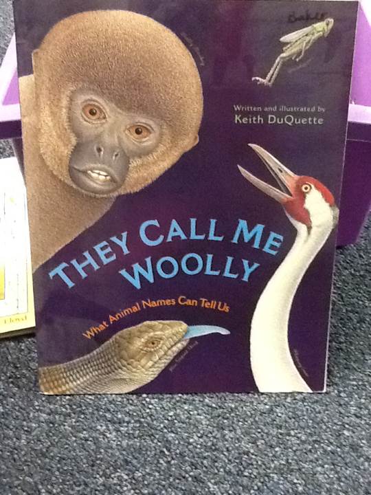 They Call Me Woolly