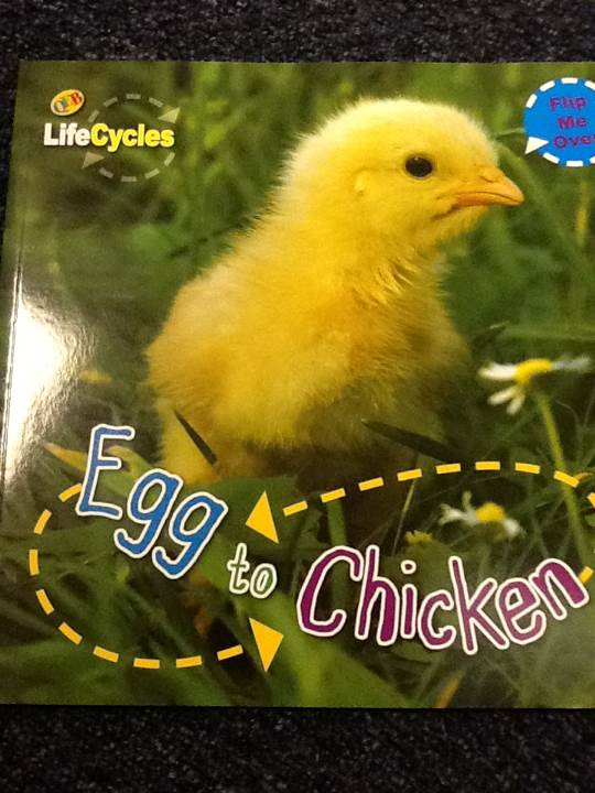 Egg to Chicken