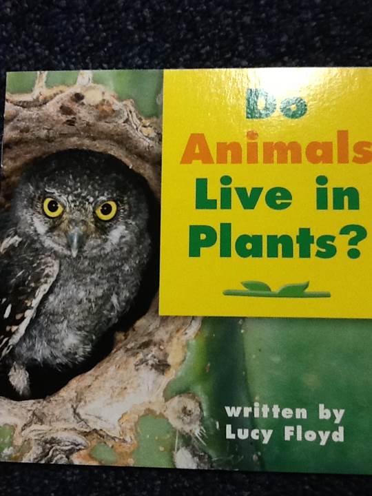 Do Animals Live In Plants?