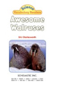 Awesome Walruses - Eric Charlesworth (Scholastic - Paperback) book collectible [Barcode 9780439876490] - Main Image 1