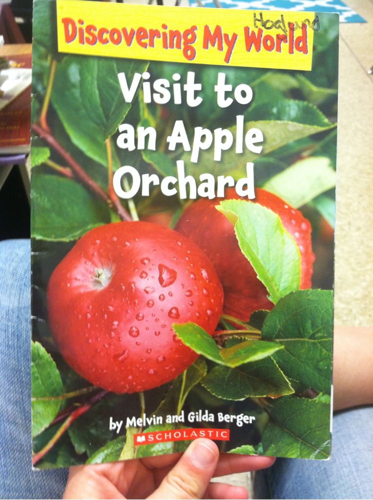 Visit To An Apple Orchard