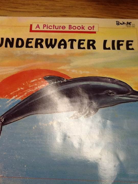 picture book of underwater life, A