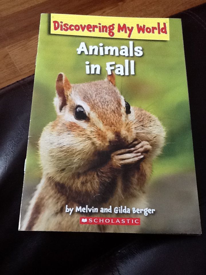 Animals In Fall - Martha E. H. Rustad (A Scholastic Press - Paperback) book collectible [Barcode 9780545476492] - Main Image 1