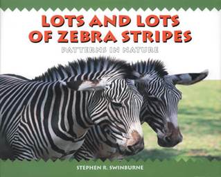 Lots And Lots Of Zebra Stripes