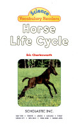 Horse Life Cycle
