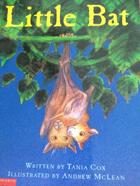 Little Bat
