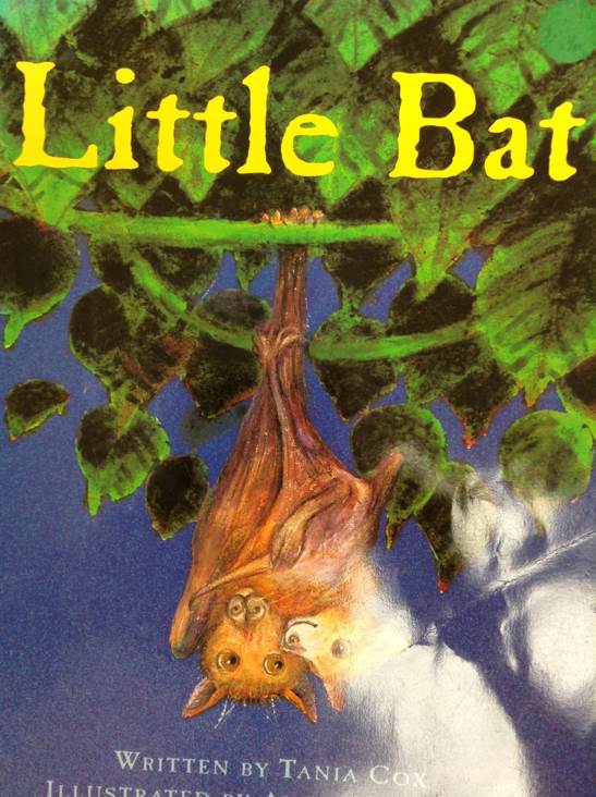 Little Bat