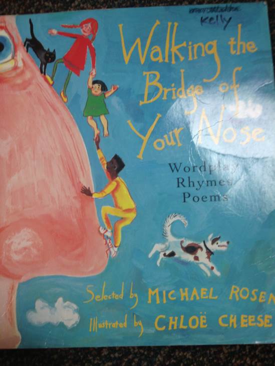 Walking The Bridge Of Your Nose