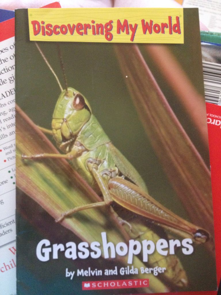 Grasshoppers