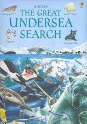 The great undersea search