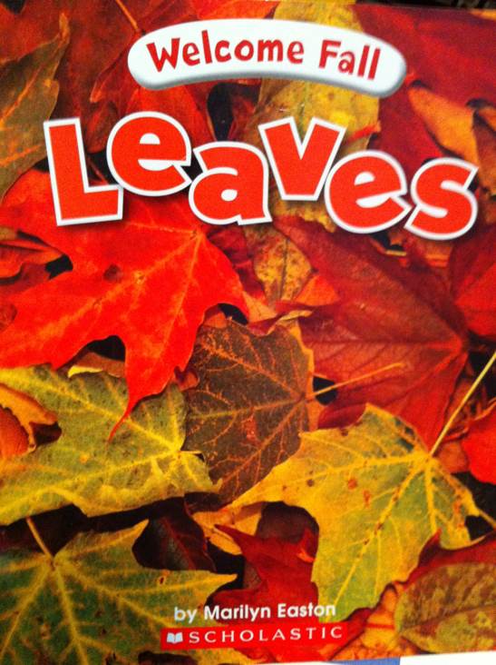 Welcome Fall: Leaves