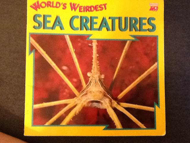 Worlds Weirdest Sea Creatures