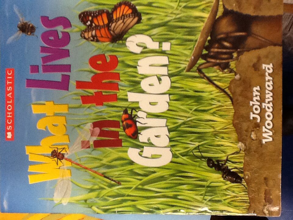 What Lives in the Garden?