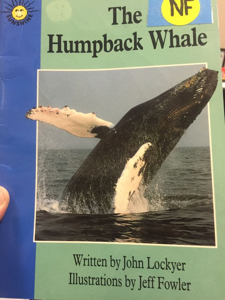 The Humpback Whale