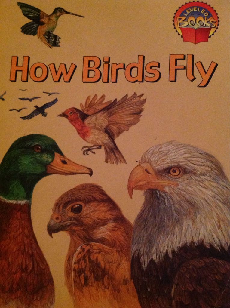 How Birds Fly - Elsa Jaspersen book collectible [Barcode 9780021849956] - Main Image 1