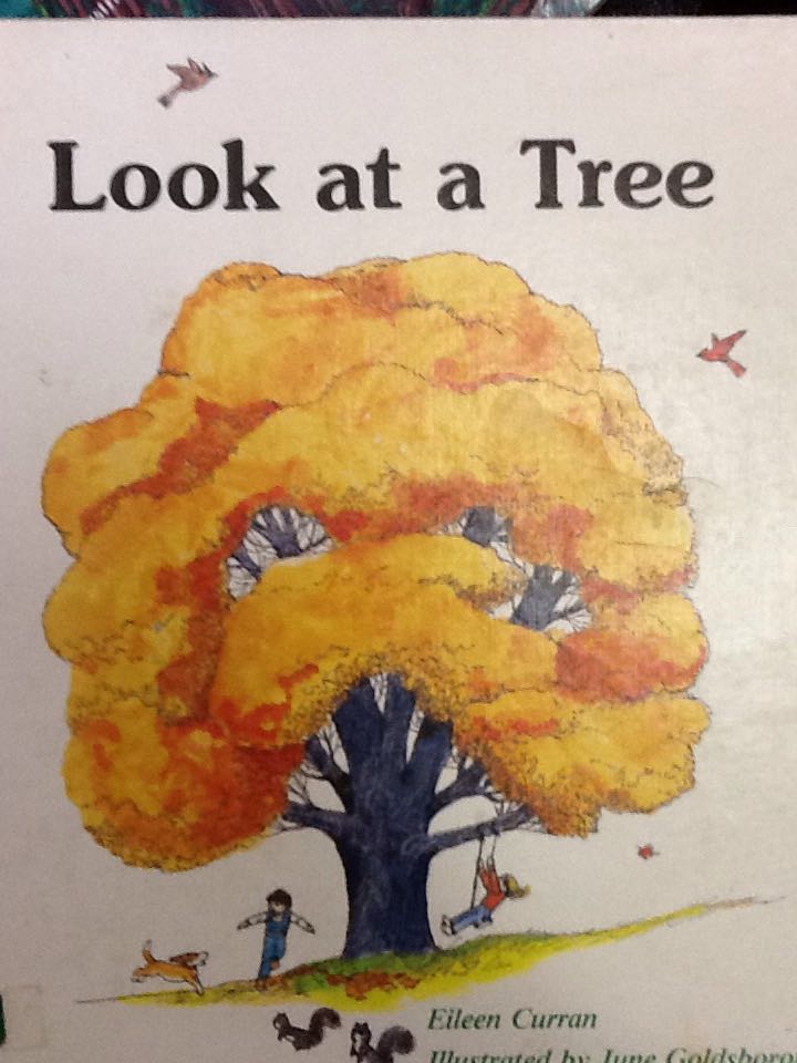 Look At A Tree