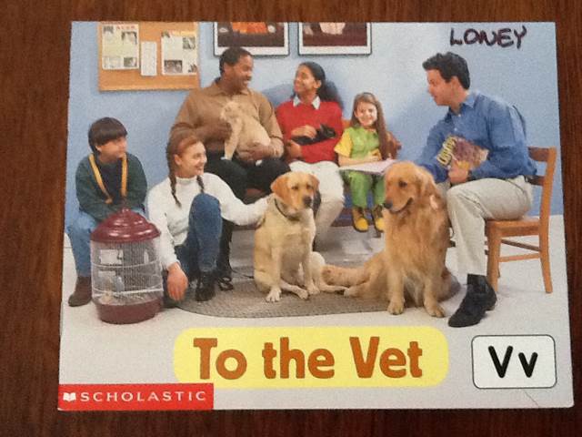 To the Vet