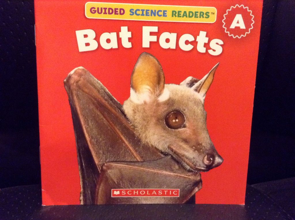 Bat Facts