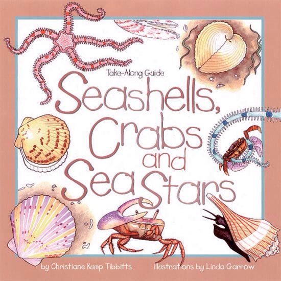 Seashells, Crabs & Sea Stars