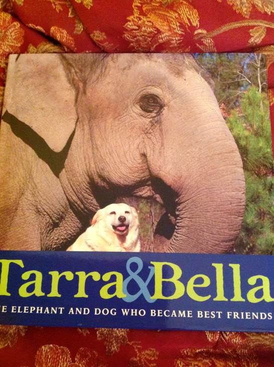 Tarra & Bella