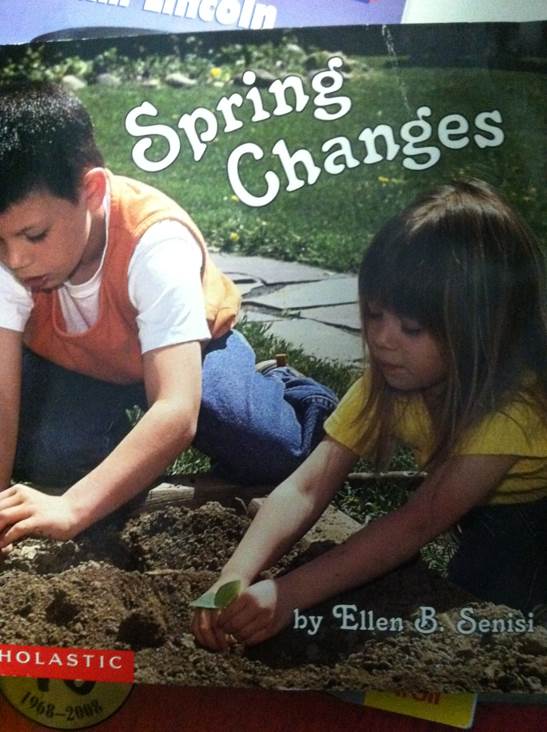 Spring Changes