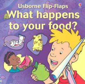 What Happens To Your Food?