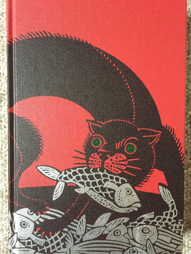 Irish Fairy And Folk Tales