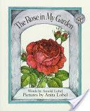 The Rose in My Garden