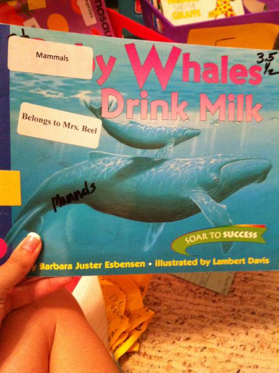 Baby Whale Drink Milk Level 3 - Barbara Juster Esbensen (Holt McDougal) book collectible [Barcode 9780395781579] - Main Image 1
