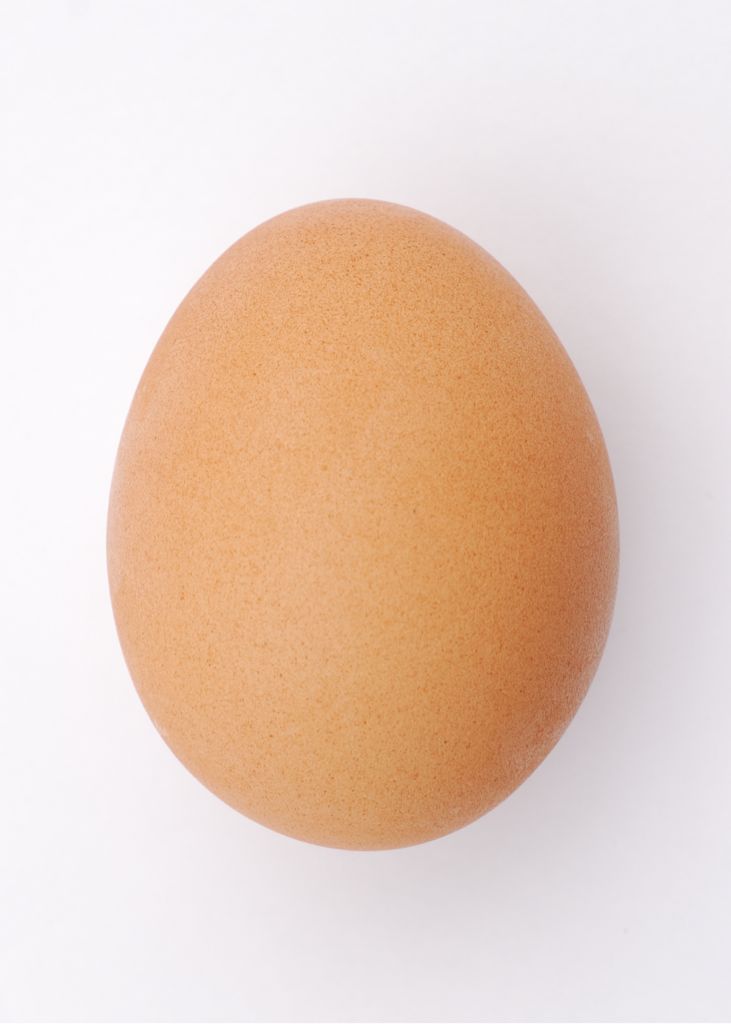 An Egg is an Egg