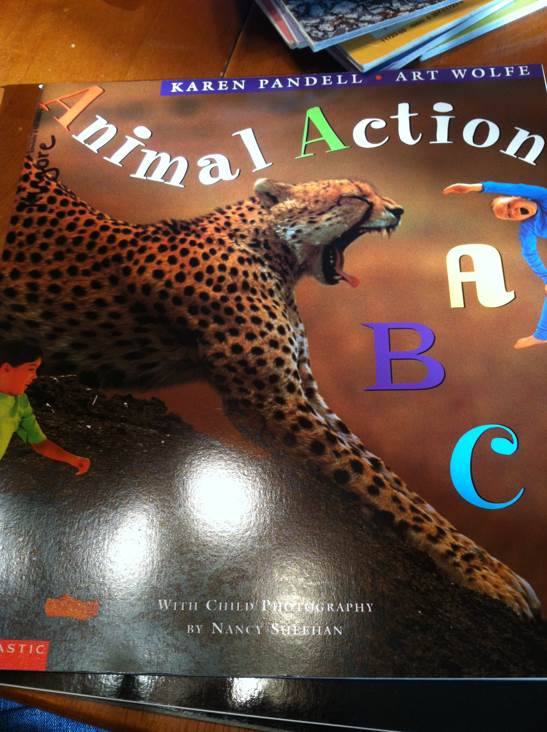 Animal Action ABC - Nancy Sheehan (Scholastic) book collectible [Barcode 9780590689434] - Main Image 1