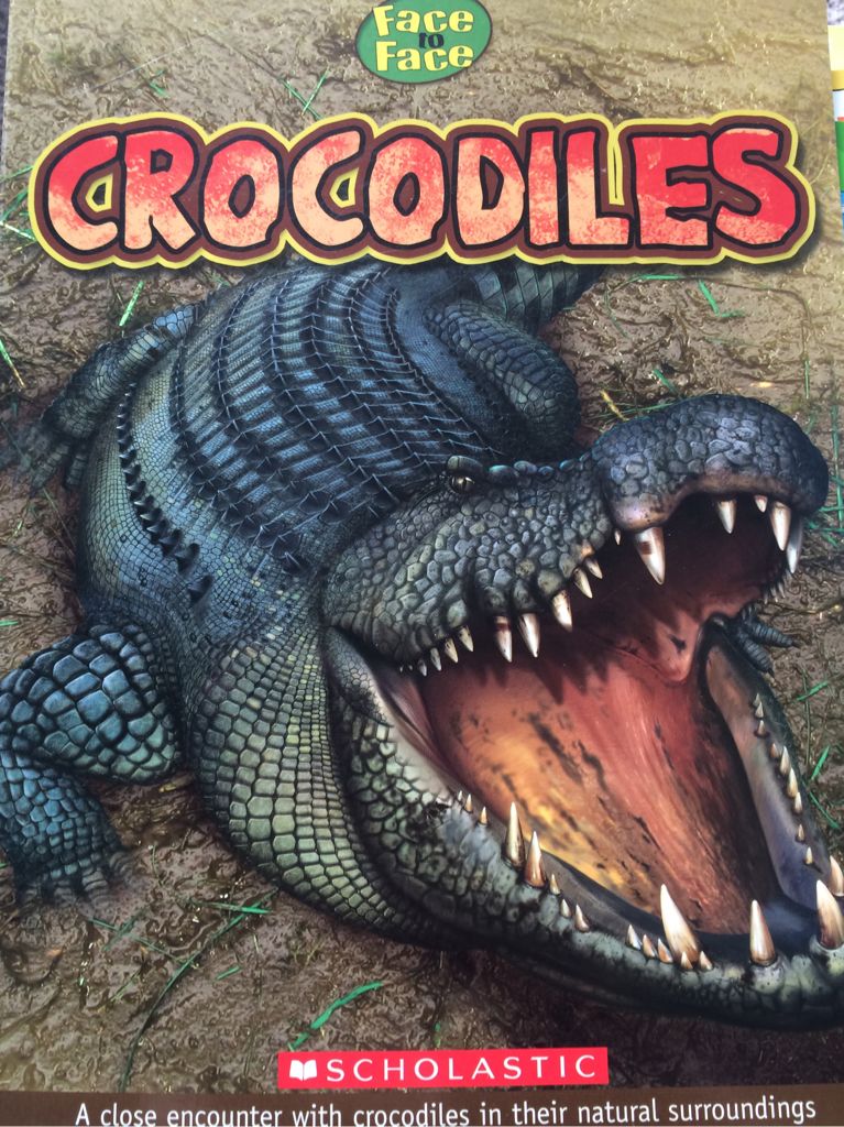 Crocodiles